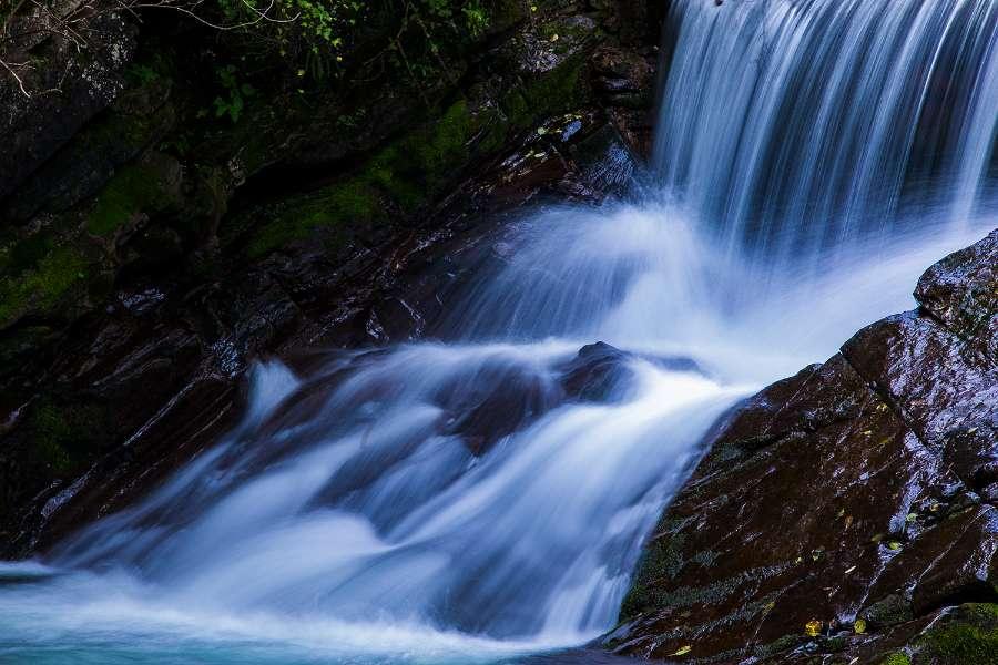 莫雷岛逃脱